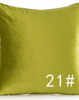 Modern Velvet Pillow Cushions (FILLING INCLUDED) - The Jardine Store