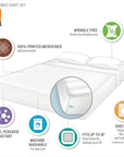 Microfiber Pattern Bedsheet By Intelligent Design