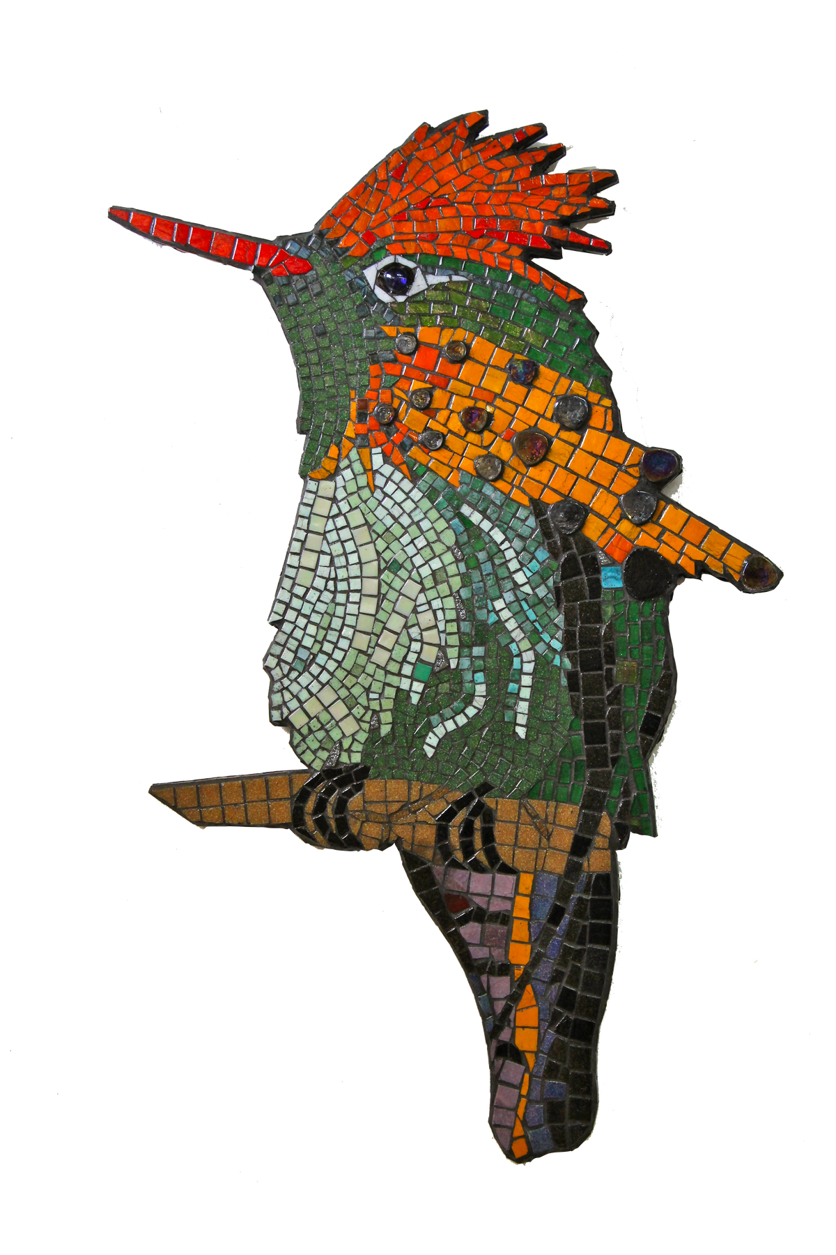 Tufted Coquette Hummingbird