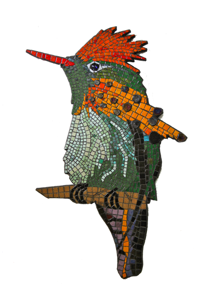 Tufted Coquette Hummingbird