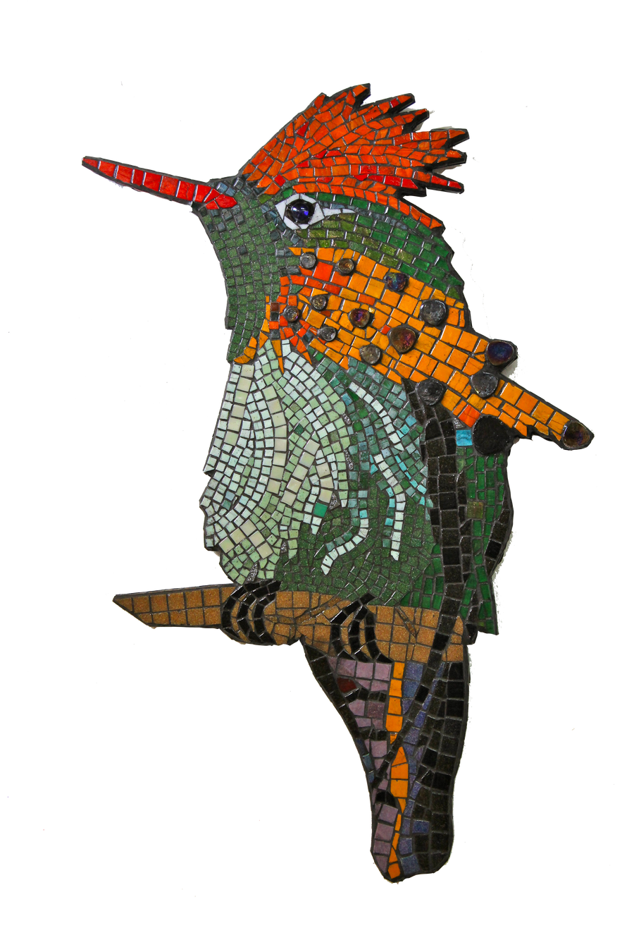 Tufted Coquette Hummingbird