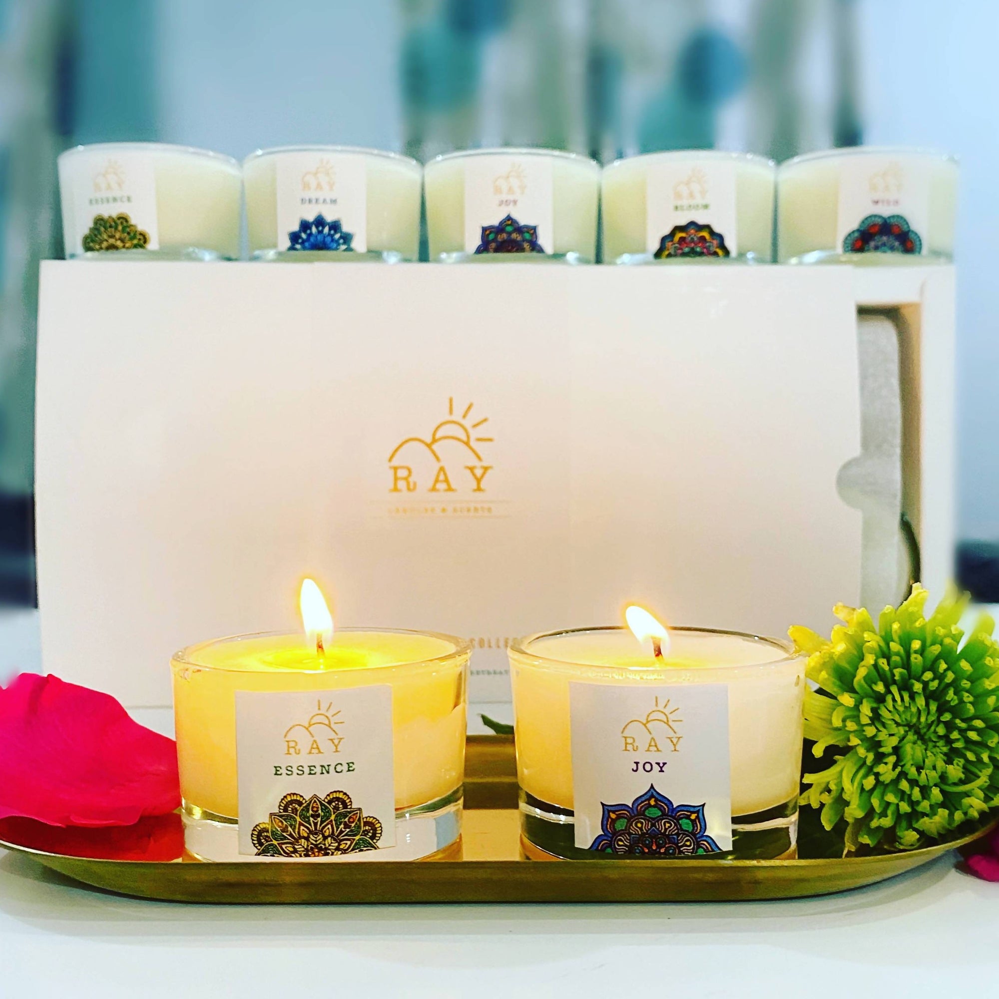 RAY Discovery Candle Set - The Jardine Store