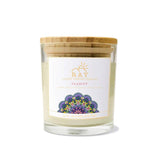 RAY Scented Candle - CLARITY - The Jardine Store