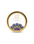 RAY Travel Candle Tins - The Jardine Store